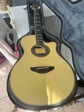 Yamaha Apx20s Apx-20