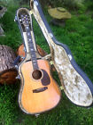 Yw600 Dreadnought Model Acoustic Guitar