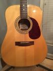Zad-50 Zager Acoustic Guitar