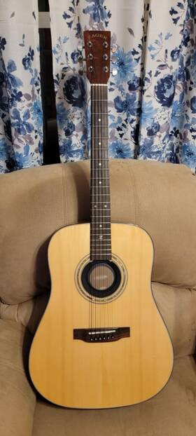 Zager Zad20n With Case