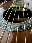 Ibanez Acoustic Parlor Guitar. Fixed Price $250.00.