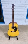 Fernandes Palisade D30N Acoustic Guitar W/chip Case! -ll. Fixed Price $250.00.