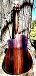 Fender DG-200SCE Acoustic Electric Guitar Exotic Brazil Rosewood, Sale. Fixed Price $499.00.