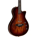 Taylor T5Z Custom Acousticelectric Guitar Shaded Edge Burst. Fixed Price $3799.00.