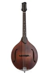 Eastman Guitars MDO305 A-style Octave Mandolin Classic. Fixed Price $1099.00.