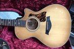 Taylor 50TH Anniversary 314CE Ltd 2024 Model Acoustic Guitar. Fixed Price $2899.00.