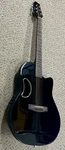 Smiger Carbon Fiber Acoustic Electric Guitar. Fixed Price $225.00.