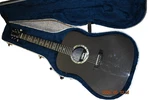 Rainsong D1000 Acoustic/electric Guitar. Fixed Price $2200.00.