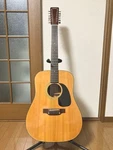 Takamine Elite WG25 12 String Acoustic Guitar Japan Vintage Rare. Fixed Price $632.96.