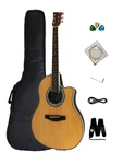 Haze SP721CEQN Round-back Electric-acoustic Guitar Built In Tuner + Free Gig Bag. Fixed Price $179.80.