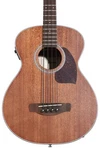 Ibanez PCB54E Acoustic-electric Bass Guitar Open Pore Natural. Fixed Price $299.99.
