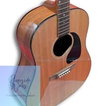 Gibson Acoustic Guitar WM-45 2003 Super Rare. Fixed Price $1805.46.