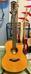 *rare* 2011 Taylor Custom 9 String Gs Acoustic Spruce/ovangkol Venetian Cutaway. Fixed Price $3199.95.