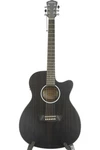 Washburn Deep Forest Ebony Ace Acoustic-electric Guitar Natural Blemish. Fixed Price $244.00.