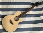 Grassroots G-AC-50S Acoustic Electric Guitar Safe Delivery From. Fixed Price $707.45.
