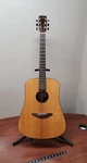 Baden D-style Rosewood Acoustic Electric 6-STRING Guitar. Fixed Price $899.99.