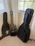 Daisy Rock Wildwood Acoustic/electric Guitar Rainbow Sparkle. Fixed Price $579.66.