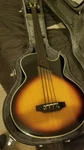 Washburn AB-20 Fretless Acoustic Bass W/ Hsc. Fixed Price $700.00.