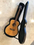 Takamine EG501S Style Electro-acoustic Guitar With Custom Case 2007 Pristine. Fixed Price $1150.00.