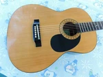 1980'S Hohner Hw 200 Concert/auditorium Acoustic Guitar, Great Beginner. Fixed Price $99.99.