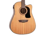 Washburn AD5CEPACK-A Apprentice Dreadnought Open Box. Fixed Price $172.99.