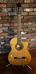 Ibanez Salvador GA6CE-14-01 Classical Acoustic-electric Guitar Stand.. Fixed Price $159.99.