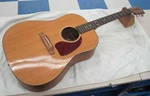 Gibson G-45 Standard Electric Acoustic Guitar. Fixed Price $1943.99.