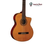 Washburn C5CE Classical Cutaway Acoustic Electric Guitar - Natural. Fixed Price $239.99.