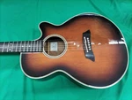 Takamine PT-106 Electric Acoustic GUITAR-04. Fixed Price $502.99.