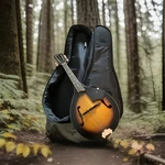 Gretsch New Yorker String Mandolin W/ Case 28 X 10.5. Fixed Price $248.88.