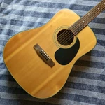 Goya G312 Dreadnought Guitar By Cf Martin Co. Fixed Price $249.90.