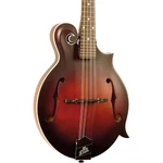 The Loar LM310F Handcarved Fstyle Mandolin Vintage Brown. Fixed Price $429.99.