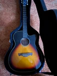 Tagima TW-29 Eq. Fixed Price $400.00.