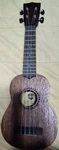 Learn To Play Ukulele, Mahogany, Brown Model KALA-LTP-S2 Mfd 2204 Vintage. Fixed Price $61.50.