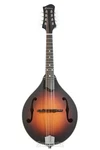 Eastman Guitars MD305E A-style Acoustic-electric Mandolin Sunburst. Fixed Price $919.00.