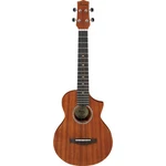 Ibanez UEWT5 Tenor Ukulele Acoustic Guitar, Open Pore Natural. Fixed Price $119.99.