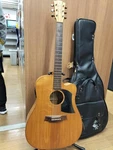 Cole Lark FL1AC Acoustic Guitar. Fixed Price $1176.53.