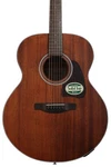 Ibanez AJ54E Artwood Jumbo Acoustic-electric Guitar Open Pore Natural. Fixed Price $299.99.