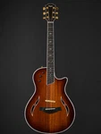 Used Taylor T5Z Custom Shaded Edgeburst With Soft Case. Fixed Price $2000.00.