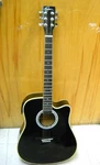 Esteban ALC-200 Black Master Class Cutaway Acoustic Guitar W/ Backpack Soft Case. Fixed Price $199.95.