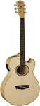 Washburn Acoustic-electric Guitar Flame Maple Mini Jumbo Body. Fixed Price $449.00.