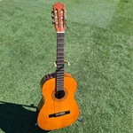 Acoustic Guitar -rare Seville Made In Korea. Fixed Price $149.98.