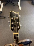 Tacoma PR-40 Guitar Serial #b 2850110. Lacquer Is Peeling Off. Has Tuner. Fixed Price $700.00.