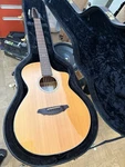 2010 Breedlove Atlas C250/SME-12 A/e 12-STRING Acoustic/electric Guitar Mik Ohsc. Fixed Price $899.95.