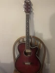 Austin ASE4 Acoustic-electric Guitar 6 String Hollow Body Wood Red. Fixed Price $149.00.