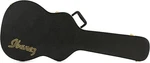 Ibanez AC100C Hardshell Acoustic Guitar Case - Series. Fixed Price $199.99.
