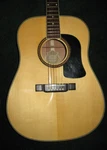 Washburn 2002 Acoustic Guitar Model# 10 Original Hardshell Case. Fixed Price $229.00.