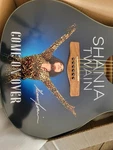 Shania Twain Custom Guitar. Fixed Price $2500.00.