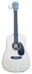 Martin D JR-10E Acoustic Electric Guitar With Soft Case. Fixed Price $659.00.