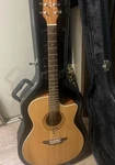 Luna Heartsong Grand Concert A/e Guitar With Usb Plugin, Gc & Carry Case. Fixed Price $200.00.
